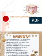 Anatomi Dan Fisiologi Kulit PPT - PPT 20231008 152335 0000