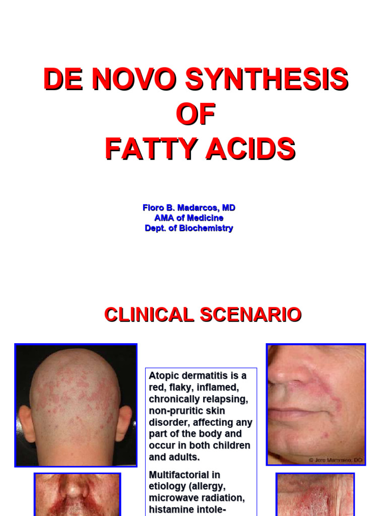 De Novo Synthesis of Fatty Acids | PDF | Nicotinamide Adenine ...