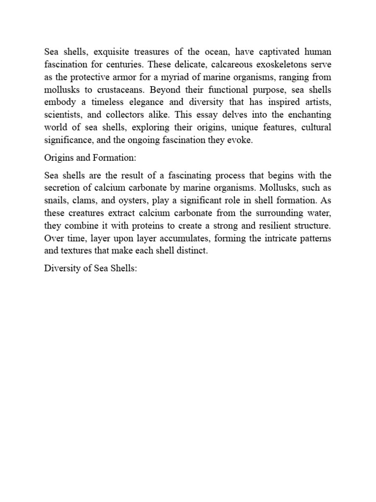 Exploring the World of Sea Shells | PDF | Social Science
