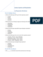 Respiratory System and Respiration Worksheet Output