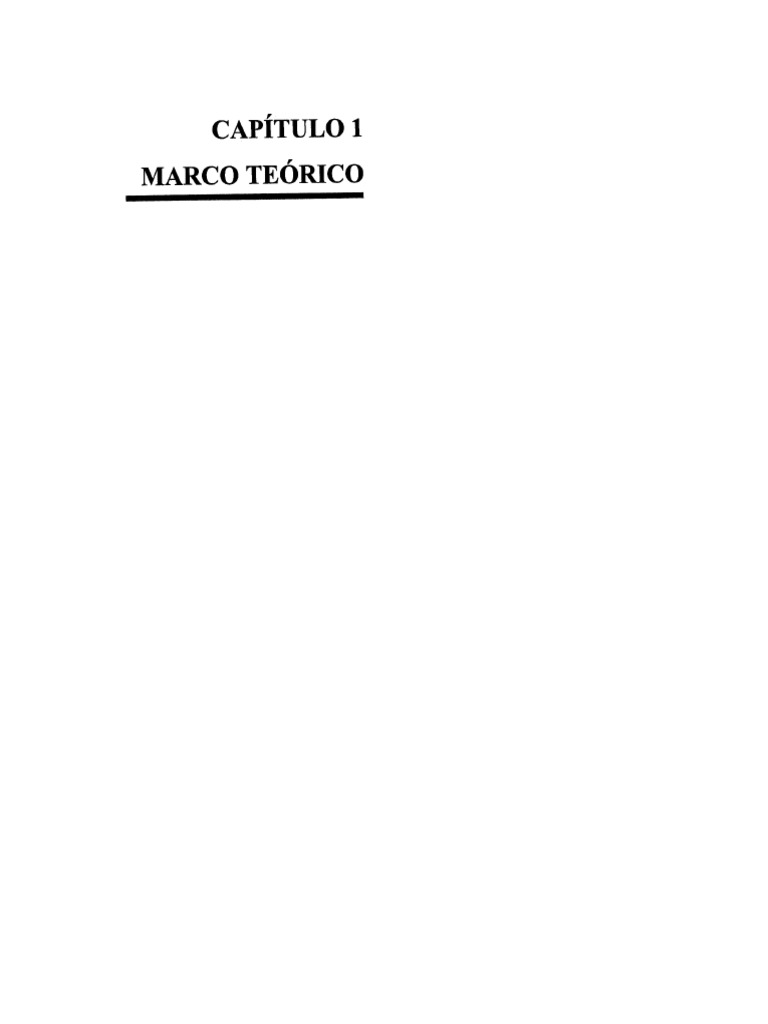Capitulo 1 | PDF