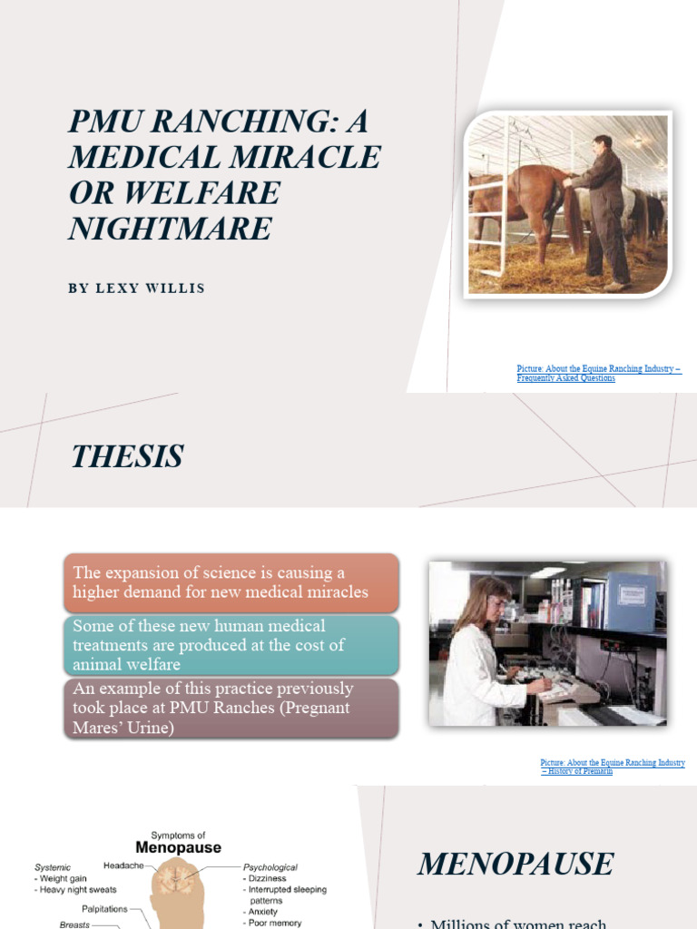 Pmu Ranching Presenation E-Portfolio | PDF | Mare | Horses