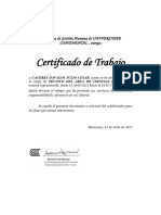 Documento - Cese Julio Cesar Davalos