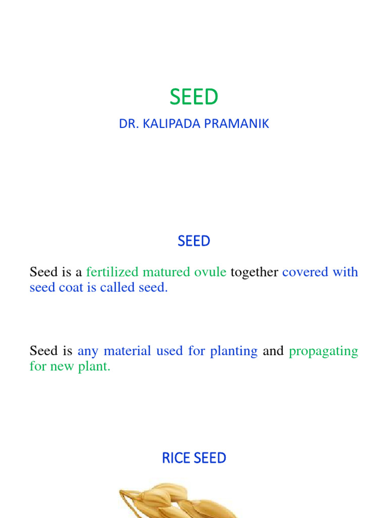 4 Seed | PDF | Seed | Plant Breeding