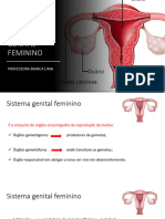 Sistema Genital Feminino