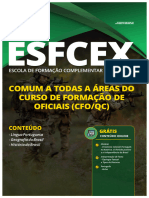 EsFCEx Comum Cfo Versao Digital