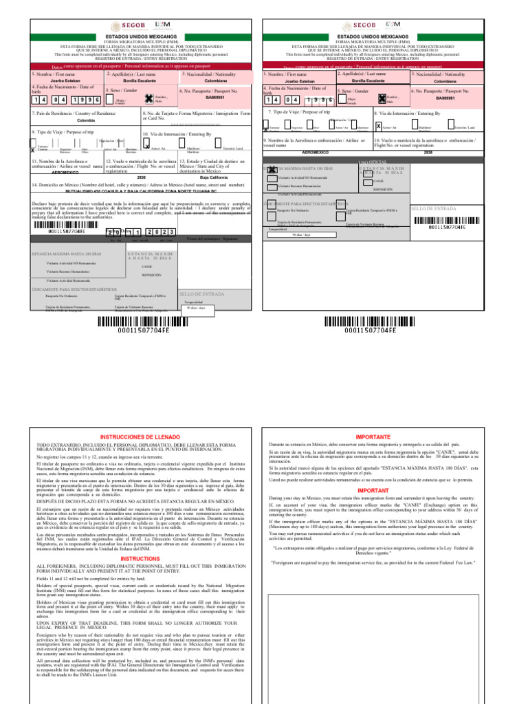 Forma Migratoria Múltiple (FMM) México 2025 | PDF | Visa de viaje | Ley ...