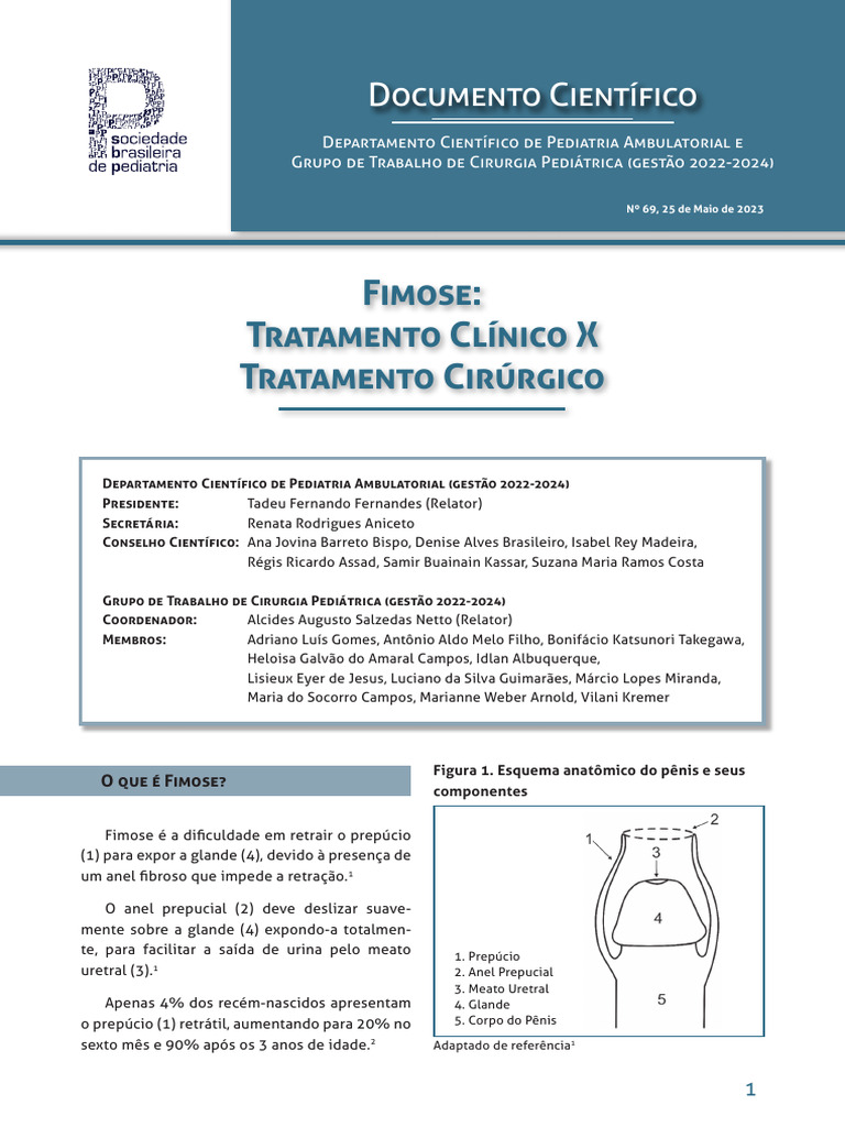 Classificação e Tratamento da Fimose | PDF | Circuncisão | Pênis