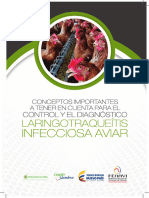 WP Contentuploads201904conceptos Importantes Laringotraqueitis Aviar - PDF 6