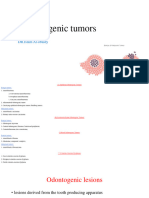 7 - Benign Odontogenic Tumors