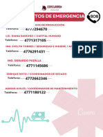 Simple Printable Emergency Contacts List