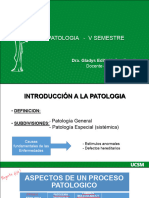 Formato PPT UCSM Introduccion A La Patologia-2020.