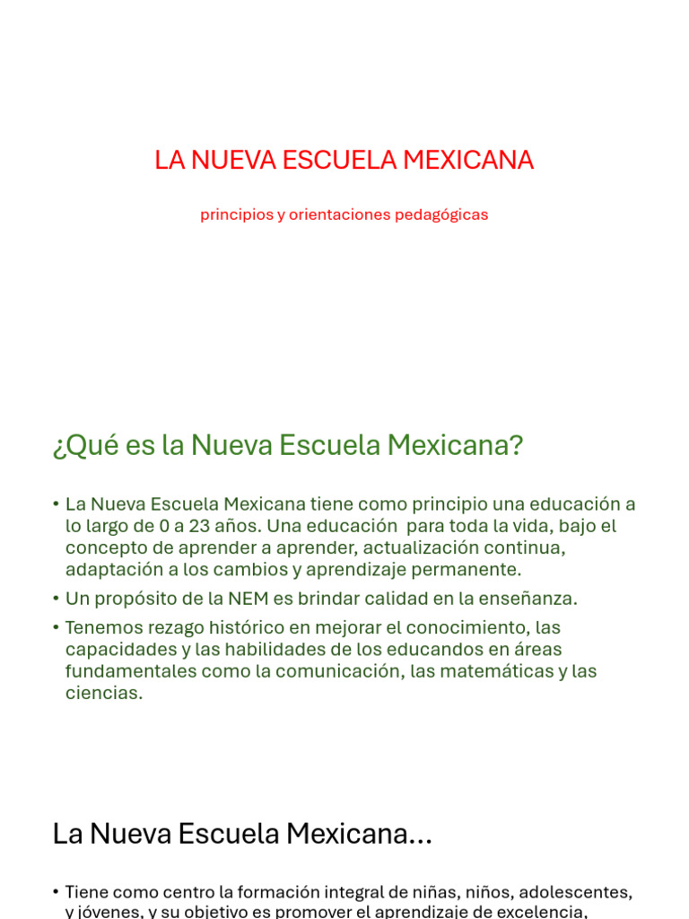 9 Principios Orientaciones Nem Pdf Aprendizaje Educación De La