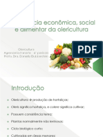 Importância econômica e social da olericultura no Brasil