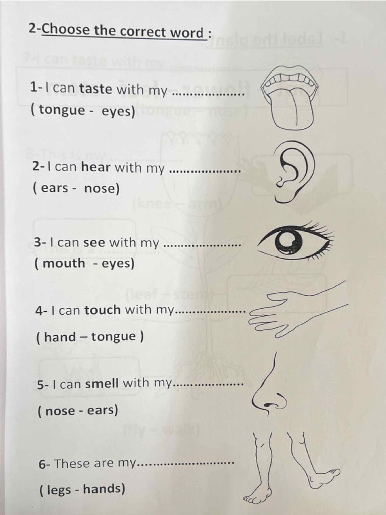 4227 Revision Sheet Pdf Pdf