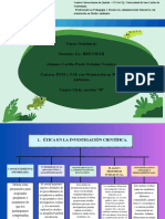 Mapa Cognitivo de Cajas.