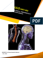 Anatomia Radiológica