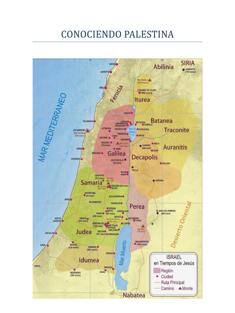 Conociendo Palestina | PDF
