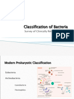 Classification of Bacteria Clinically Relevant Bacteria 092410