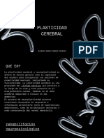 Plasticidad Cerebral - 20231205 - 114840 - 0000