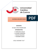 Leucemia - Mieloide - Aguda Corregido