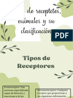 Tipos de Receptotes