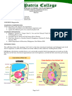 Module Sci1 Week12