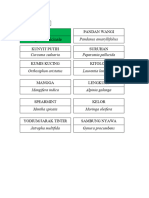 Nama Latin Tumbuhan Di SDN Tlogowungu 01