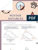 Puntos Notables