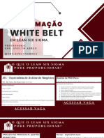 Apostila 3 - White Belt em Lean Six Sigma - 2024