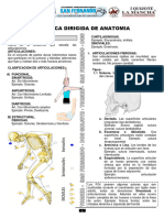 Anatomia-Teoria Artrología