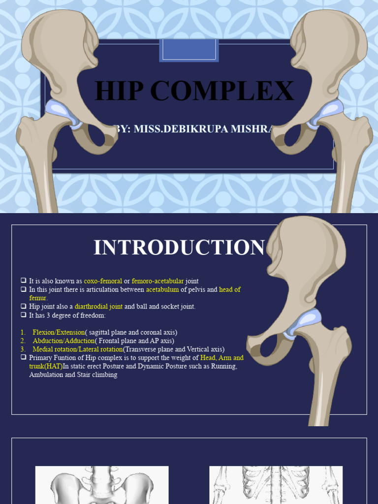 Hip Joint Biomechanics | PDF