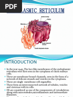 SER vs RER: Functions and Differences | PDF | Endoplasmic Reticulum ...