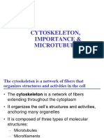Cytoskeleton, Importance & Microtubules