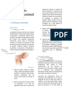 Laboratorio Fisiología Animal II - Presión