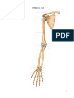 OSTEOLOGI 