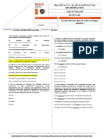 El Sustantivo y Los Determinantes Práctica Sol