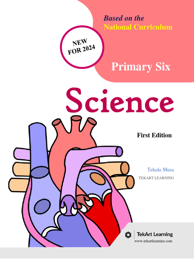 Tekart Primary Six Science Notes Term One 2024 | PDF