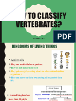 How to classify vertebrates