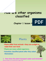 How Are Other Organisms Classified