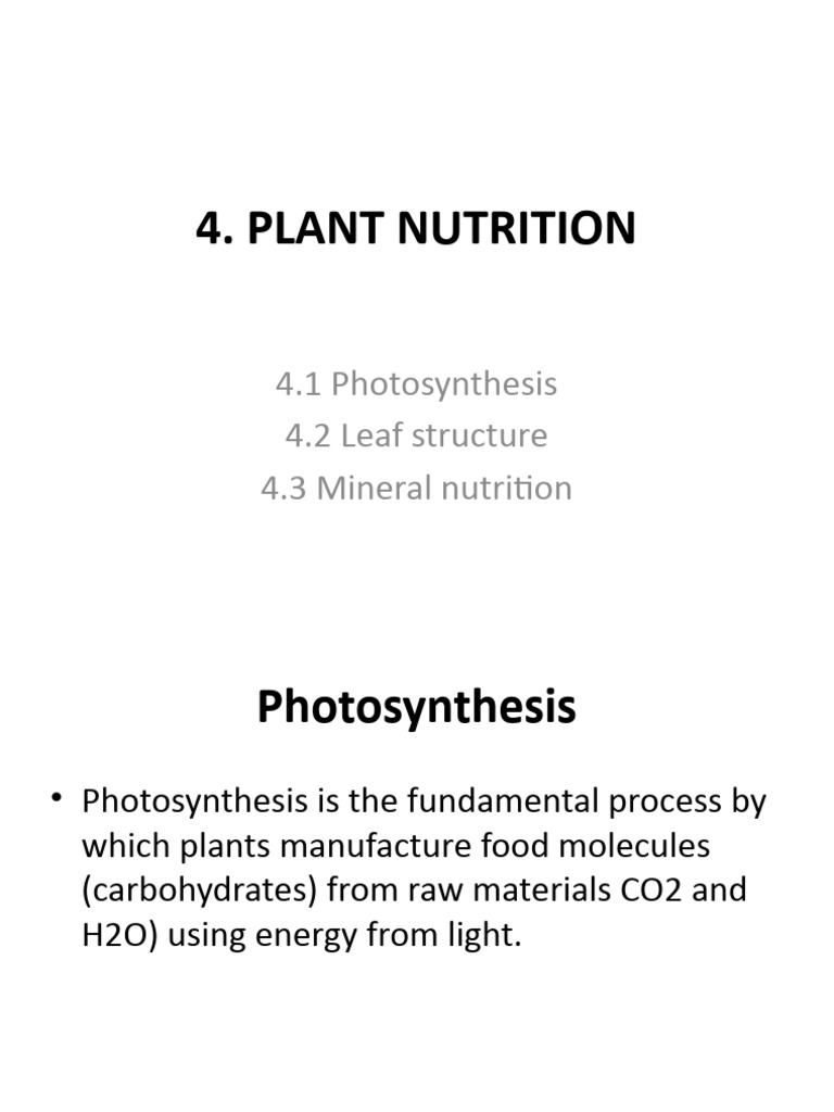 Photosynthesis visual data 3