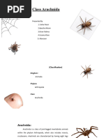 Presentation7 Zoology Sahar