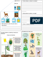 Ciclo de Las Plantas y Animales