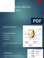 Congenitalrenalanomalies 161209072225