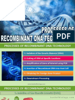 11 Biotechnology Principles N Processes PPT Part 2