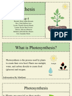 Photosynthesis Presentation by Group 4