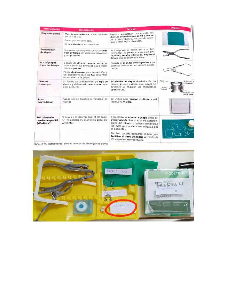 Bandejas Taoe | PDF