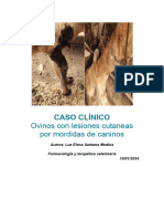 Caso Clinico Word-1