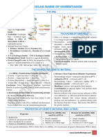 6 Molecular Basis of Inheritance Capsule Notes