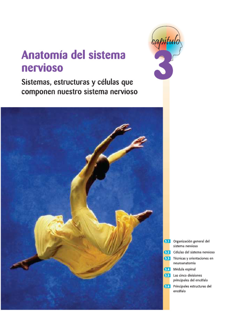 Cap 3 | PDF